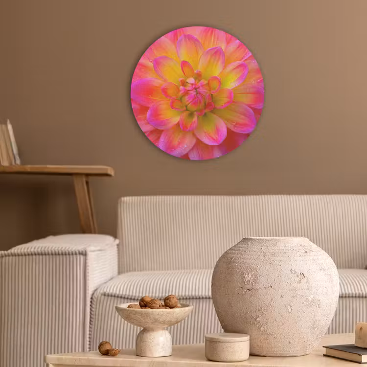Roze - Dahlia - Kleurrijk Akoestische PET Vilt - Rond klein -sfeer1