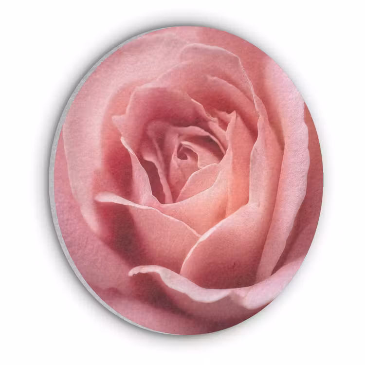 Roze - Roos - Romantisch Akoestische PET Vilt - Rond klein -3d