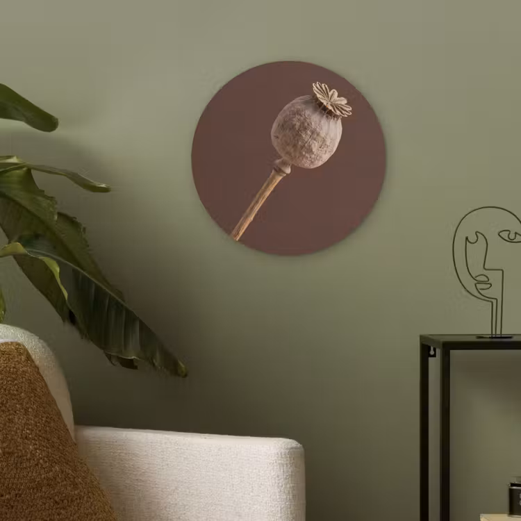 Papaverbol - Droogbloem - Bruin - Minimalistisch Akoestische PET Vilt - Rond klein -sfeer2