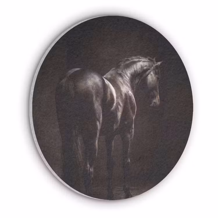 Krachtig - Paard - Donker Akoestische PET Vilt - Rond klein -3d