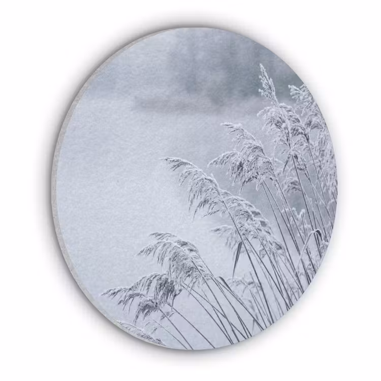 Riet - Bevroren - Winter - Natuur Akoestische PET Vilt - Rond klein -3d