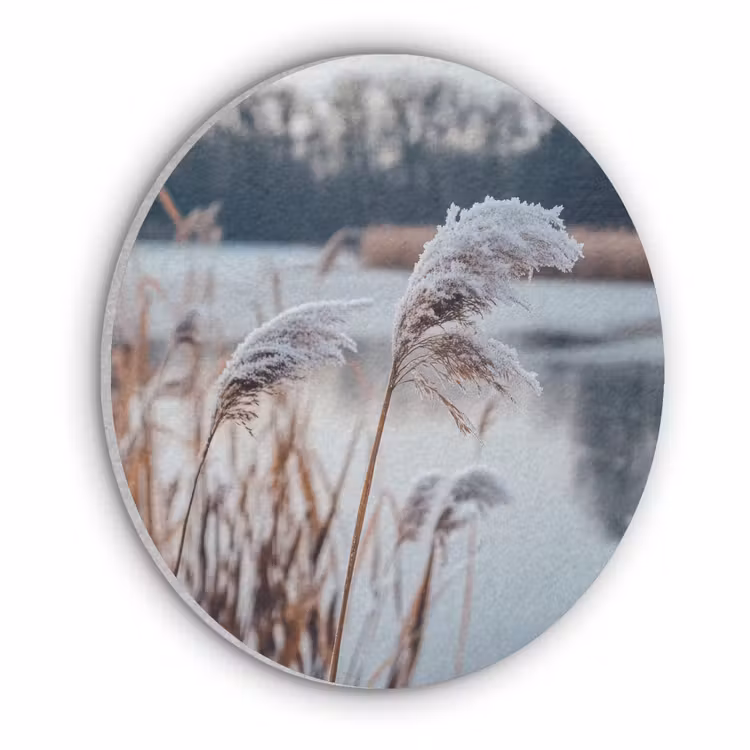 Riet - Gras - Natuur - Winter - Meer Akoestische PET Vilt - Rond klein -3d