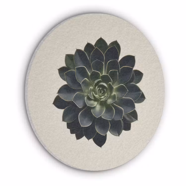 Rozet - Cirkelvormig - Donkergroen Akoestische PET Vilt - Rond klein -3d