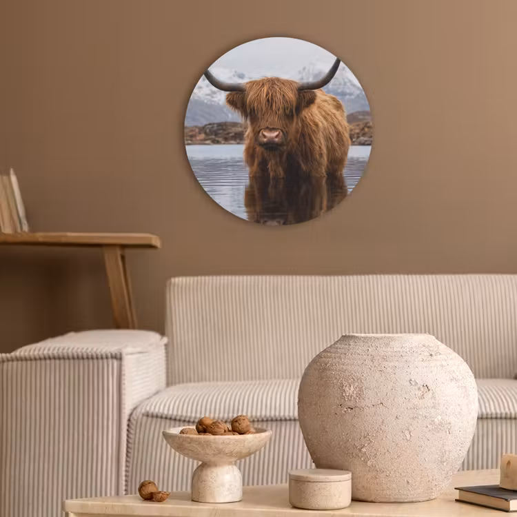 Schotse hooglander - Bruin - Water Akoestische PET Vilt - Rond klein -sfeer1
