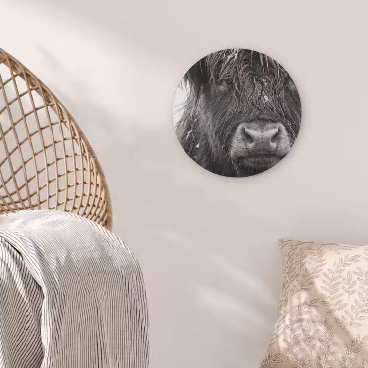 Schotse hooglander - Zwart - Wit - Sneeuwvlokken Akoestische PET Vilt - Rond klein -sfeer4