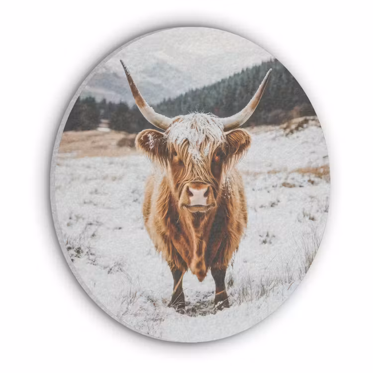 Schotse Hooglander - Landschap - Sneeuw - Bergen - Winter Akoestische PET Vilt - Rond klein -3d