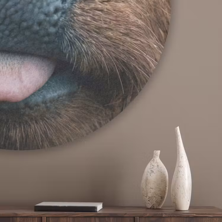 Schotse hooglander - Neus - Bruin Akoestische PET Vilt - Rond klein -sfeer5_closeup