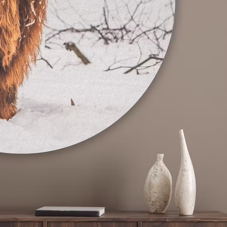 Schotse Hooglander - Sneeuw - Winter - Natuur - Dieren Akoestische PET Vilt - Rond klein -sfeer5_closeup