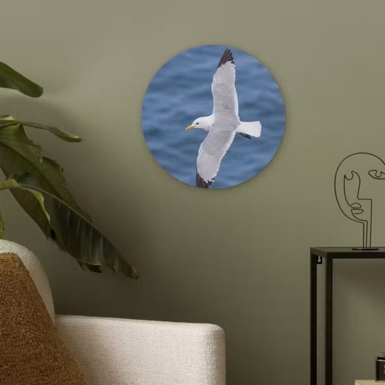 Zeemeeuw - Oceaan - Blauw Akoestische PET Vilt - Rond klein -sfeer2