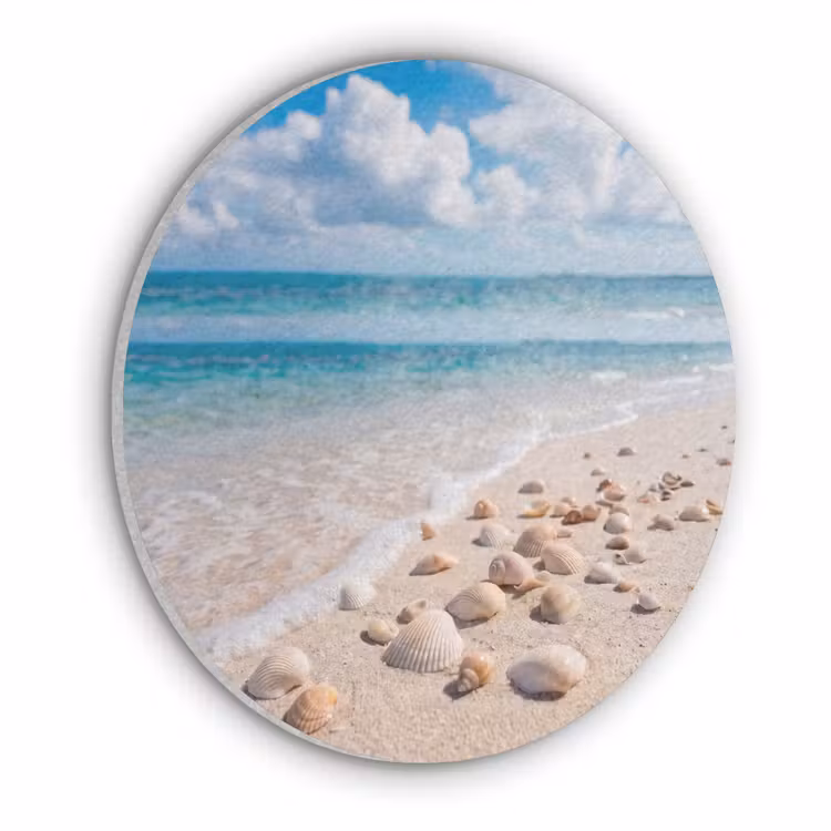 Schelpen - Strand - Natuur - Beige Akoestische PET Vilt - Rond klein -3d