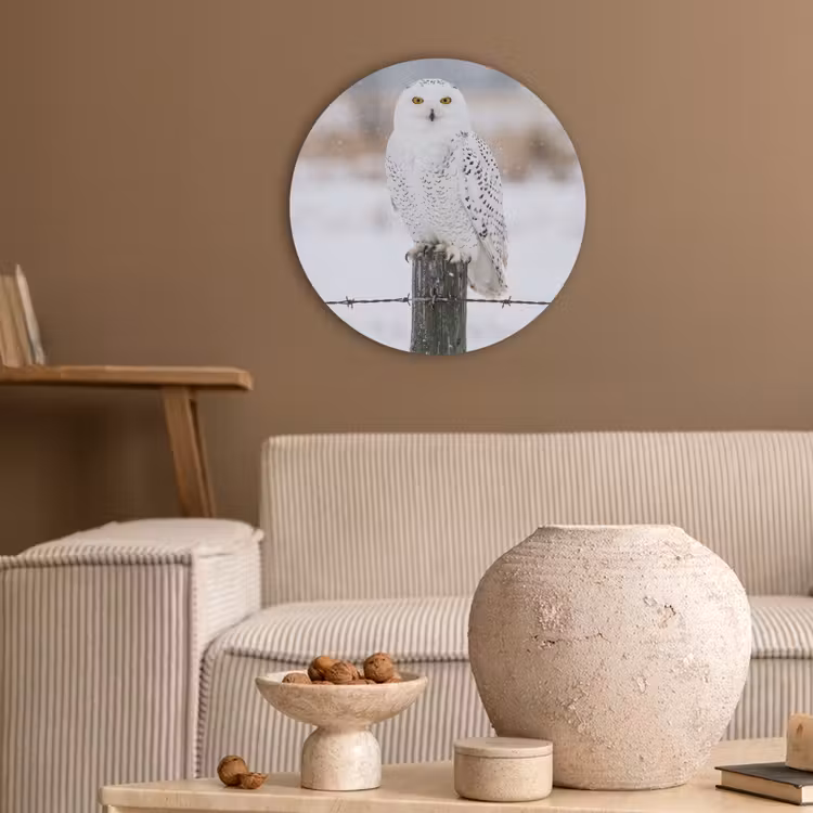 Sneeuwuil - Hek - Sneeuw - Wit Akoestische PET Vilt - Rond klein -sfeer1