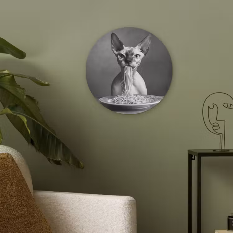 Sphynx - Kat - Dieren - Humor - Spaghetti - Zwart Wit Akoestische PET Vilt - Rond klein -sfeer2