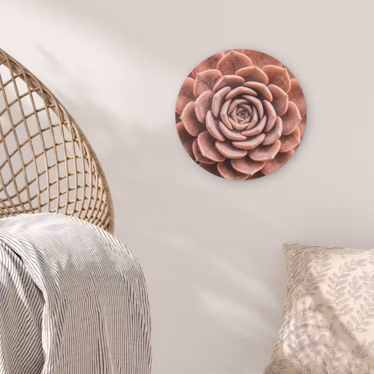 Vetplant - Organisch - Roze Akoestische PET Vilt - Rond klein -sfeer4