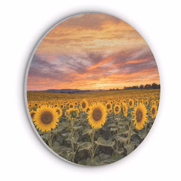 Zonnebloemen - Heuvellandschap - Geel Akoestische PET Vilt - Rond klein -3d
