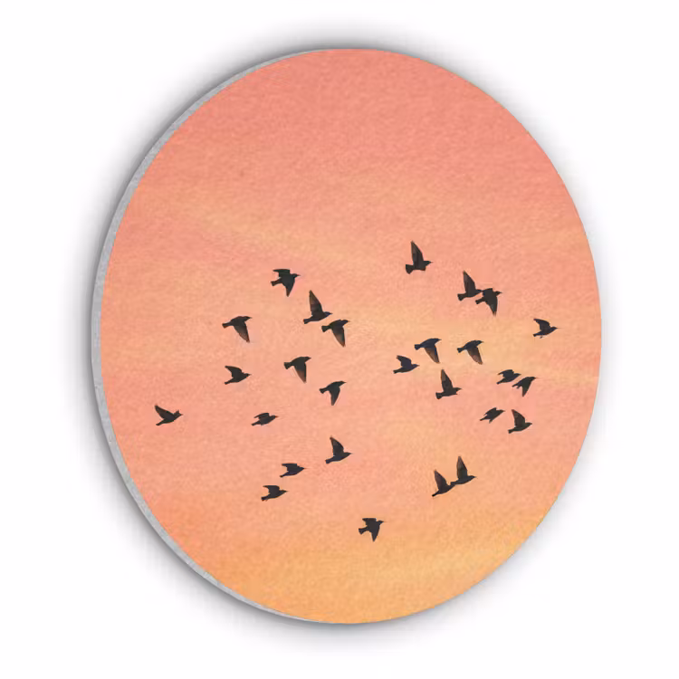 Zwerm - Vogels - Oranje Akoestische PET Vilt - Rond klein -3d