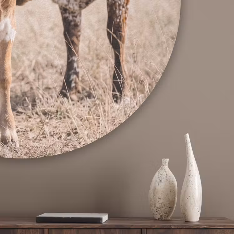 Texas Longhorn - Kalf - Weide - Dieren Akoestische PET Vilt - Rond klein -sfeer5_closeup