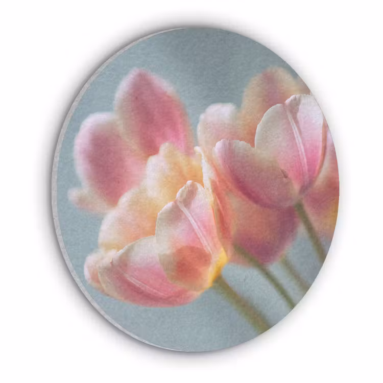 Tulpen - Roze - Stelen Akoestische PET Vilt - Rond klein -3d