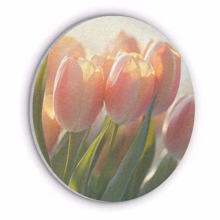 Tulpen - Roze - Zonnestralen Akoestische PET Vilt - Rond klein -3d