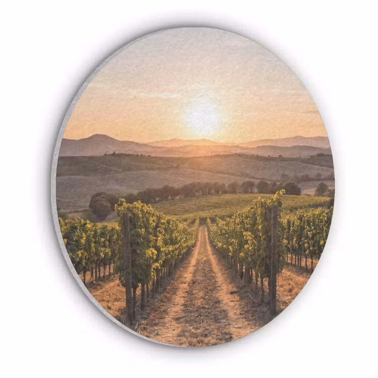 Wijngaard - Zonsondergang - Landschap Akoestische PET Vilt - Rond klein -3d