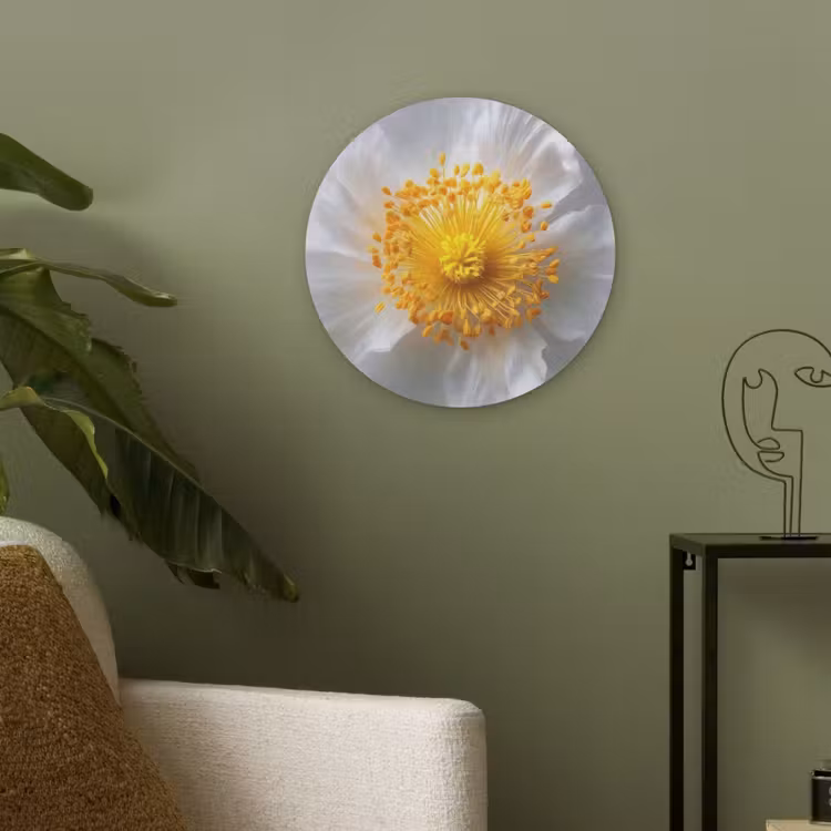 Wit - Bloem - Elegant Akoestische PET Vilt - Rond klein -sfeer2