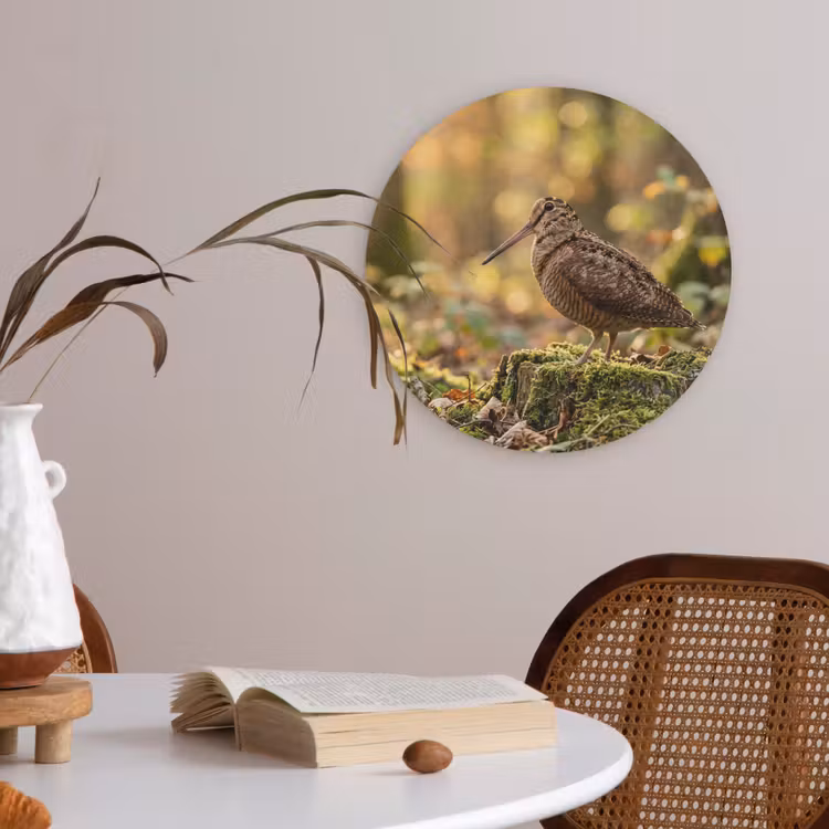 Houtsnip - Bos - Bladeren - Herfst - Gecamoufleerd Akoestische PET Vilt - Rond klein -sfeer3