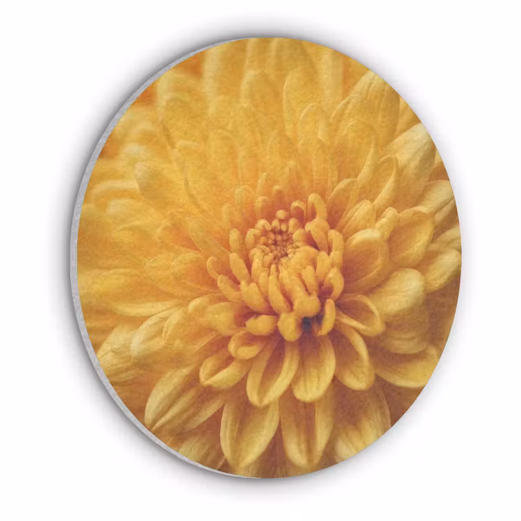 Geel - Chrysant - Zachtheid Akoestische PET Vilt - Rond klein -3d