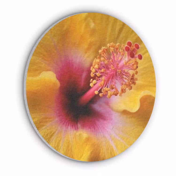 Geel - Hibiscus - Tropisch Akoestische PET Vilt - Rond klein -3d