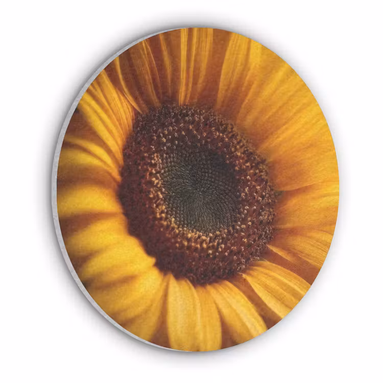 Geel - Zonnebloem - Zomers Akoestische PET Vilt - Rond klein -3d