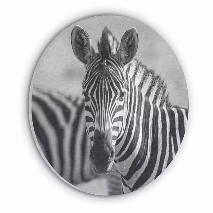 Zebra's - Zwart - Wit Akoestische PET Vilt - Rond klein -3d
