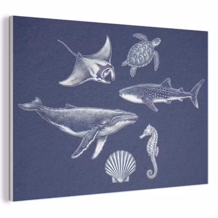 Dieren - Zeeleven - Oceaan - Graveren - Blauw PET vilt klein -3d