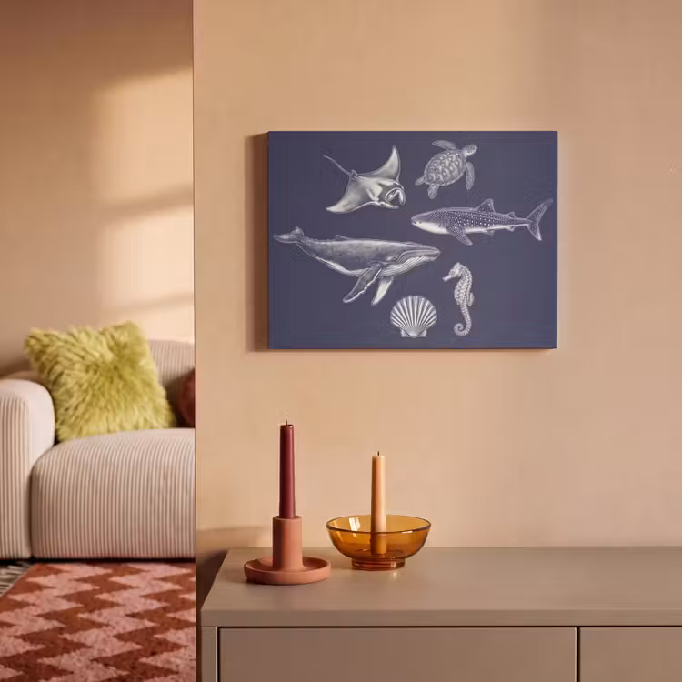 Dieren - Zeeleven - Oceaan - Graveren - Blauw PET vilt klein -sfeer1