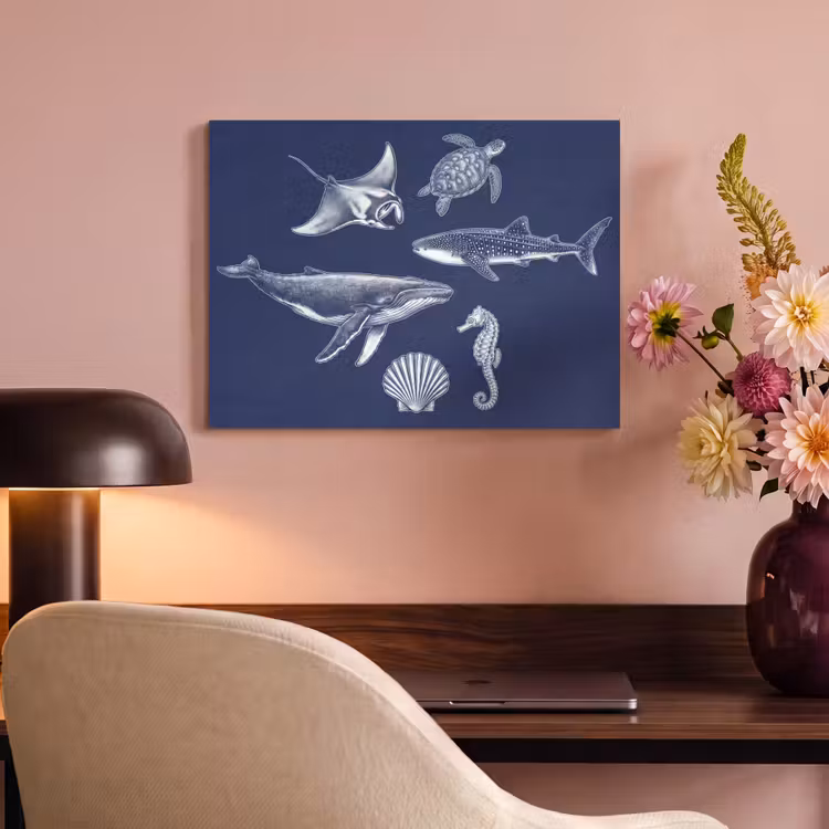 Dieren - Zeeleven - Oceaan - Graveren - Blauw PET vilt klein -sfeer3
