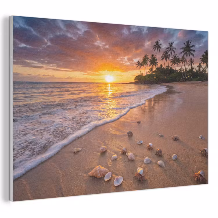 Strand - Zonsondergang - Palmbomen - Natuur - Oranje PET vilt klein -3d