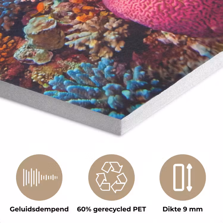 Koraal - Vissen - Oceaan - Natuur - Kleurrijk PET vilt klein -closeup_NL