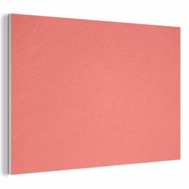 Coral - Punch - Koraal PET vilt klein 837 -3d