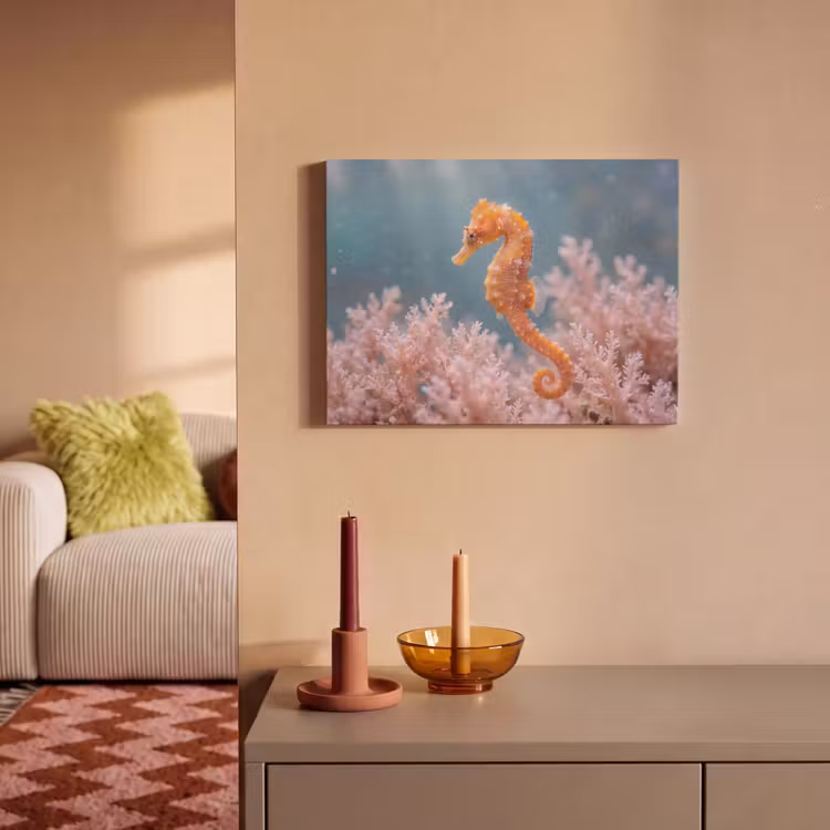 Vis - Koraal - Oceaan - Macro - Oranje PET vilt klein -sfeer1