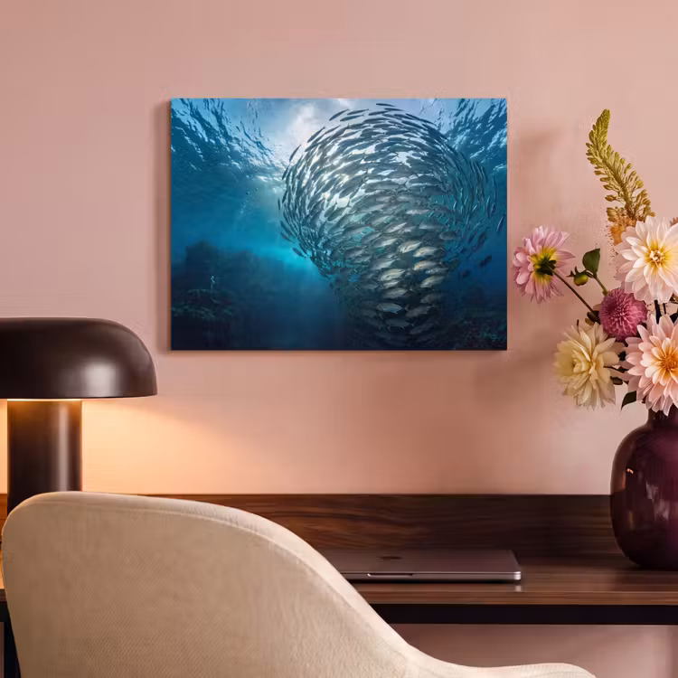 Vis - School - Oceaan - Natuur - Blauw PET vilt klein -sfeer3