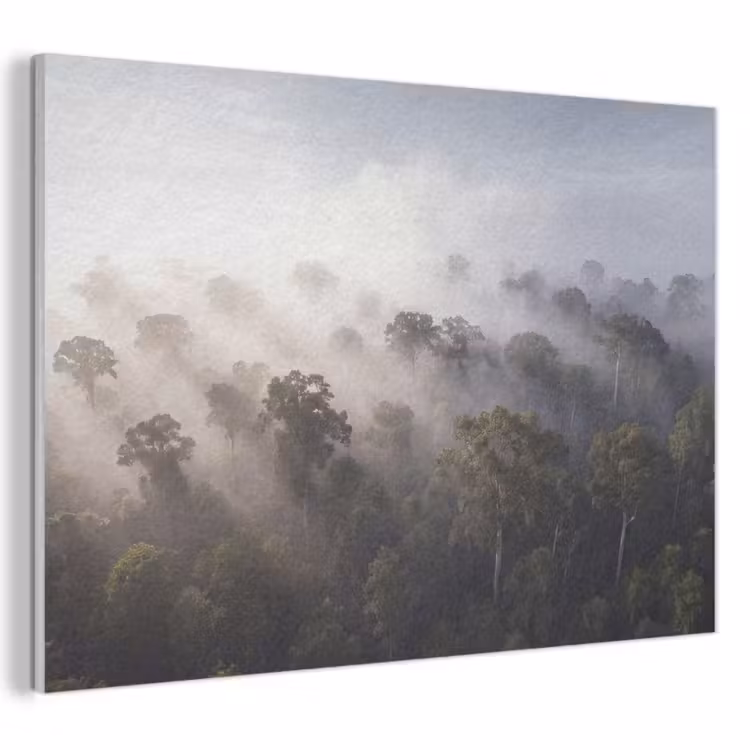 Bos - Mist - Natuur - Groen PET vilt klein -3d