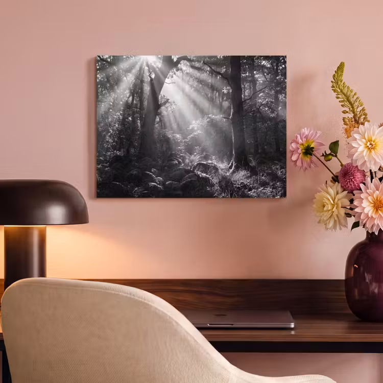 Bos - Lichtstralen - Natuur - Zwart-wit PET vilt klein -sfeer3