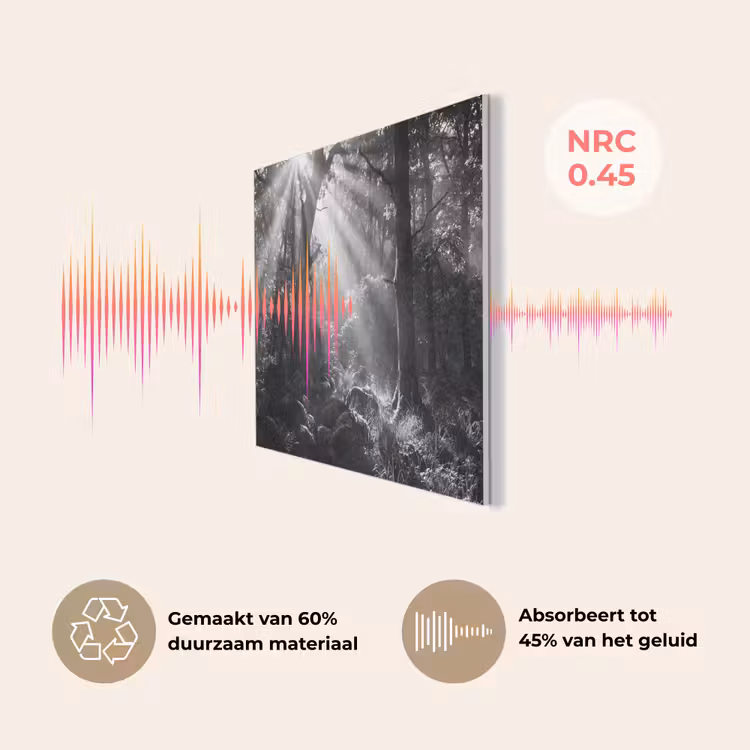 Bos - Lichtstralen - Natuur - Zwart-wit PET vilt klein -USP_NL