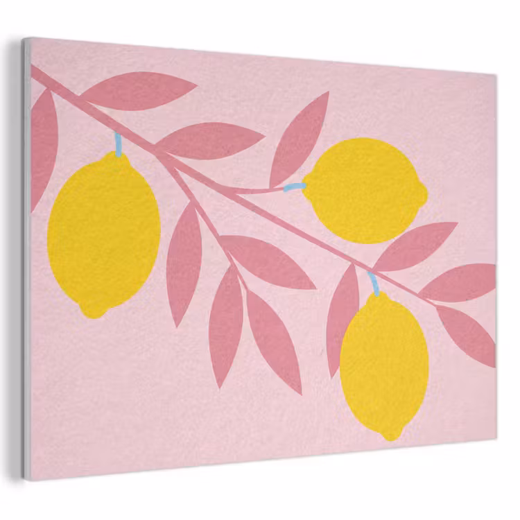 Fruit - Tak - Natuur - Abstract - Roze PET vilt klein -3d