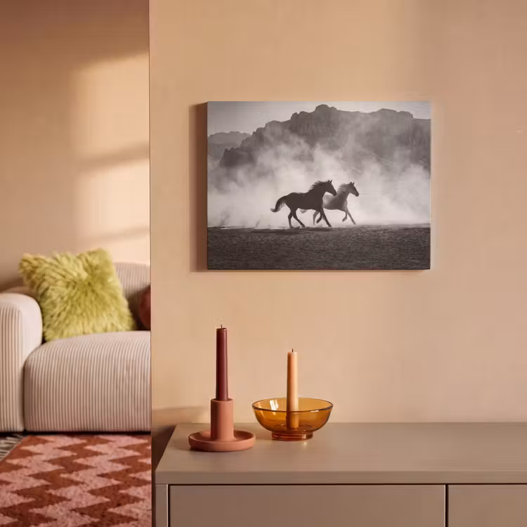 Paard - Ren - Stof - Zwart-wit - Dieren PET vilt klein -sfeer1