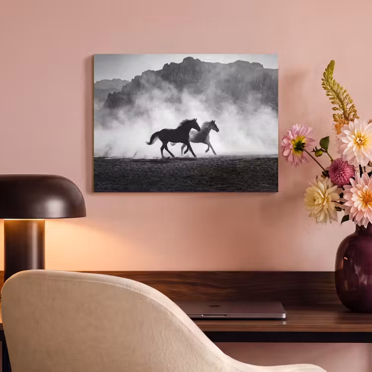 Paard - Ren - Stof - Zwart-wit - Dieren PET vilt klein -sfeer3