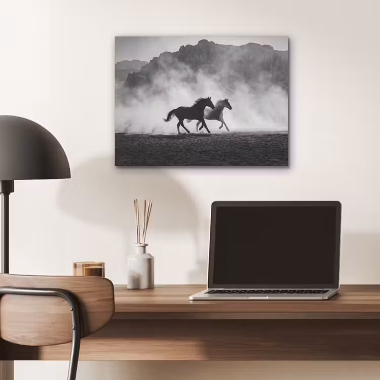 Paard - Ren - Stof - Zwart-wit - Dieren PET vilt klein -sfeer5