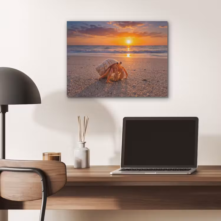Kreeft - Strand - Natuur - Zonsondergang - Oranje PET vilt klein -sfeer5