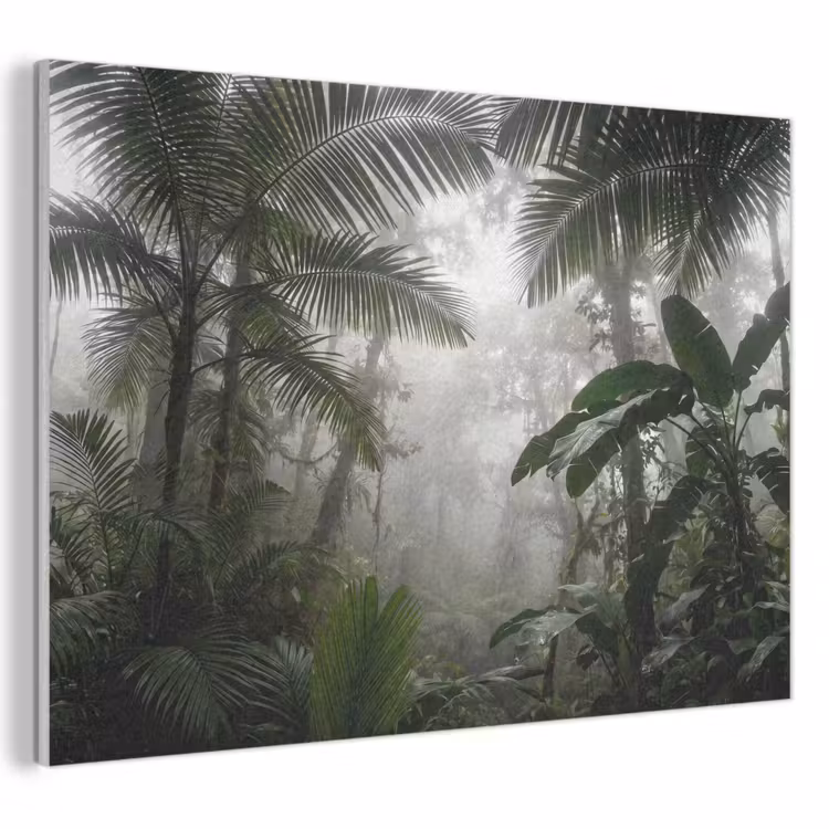 Natuur - Jungle - Mist - Groen - Bladeren PET vilt klein -3d