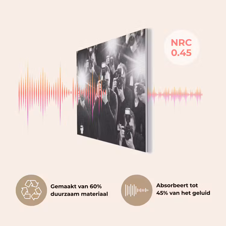 Mensen - Camera - Flitslicht - Zwart-wit - Media PET vilt klein -USP_NL