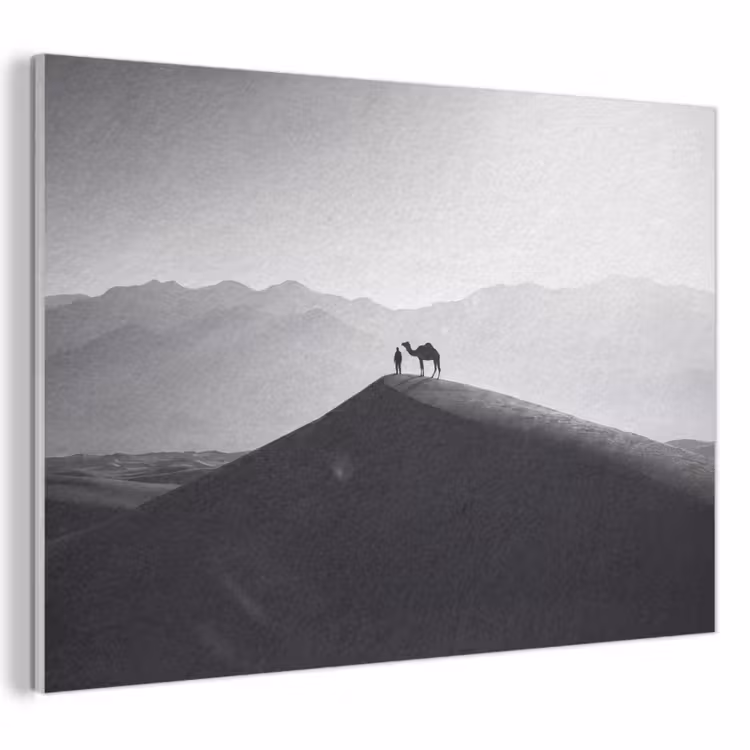 Mens - Kameel - Zandduin - Natuur - Monochroom PET vilt klein -3d
