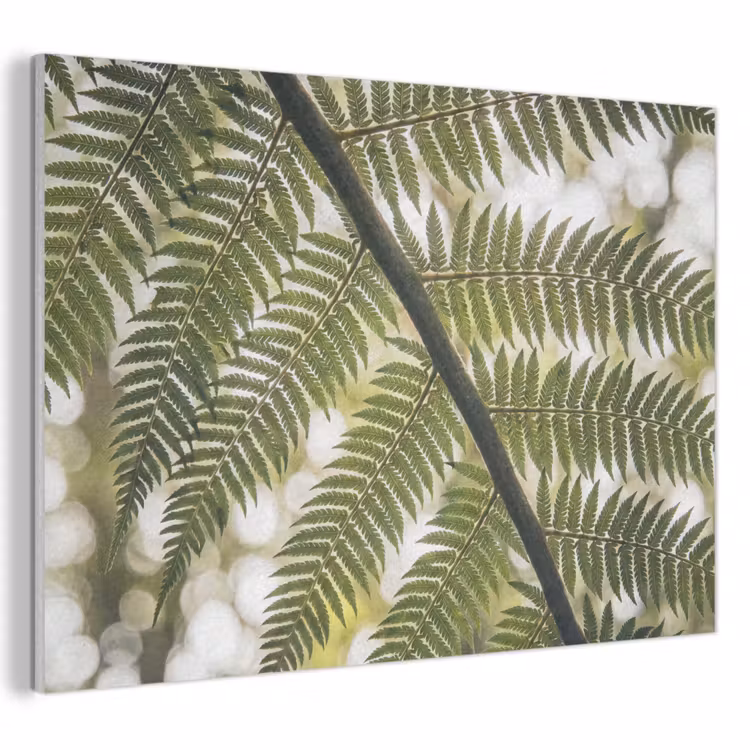 Plant - Blad - Natuur - Groen - Detail PET vilt klein -3d