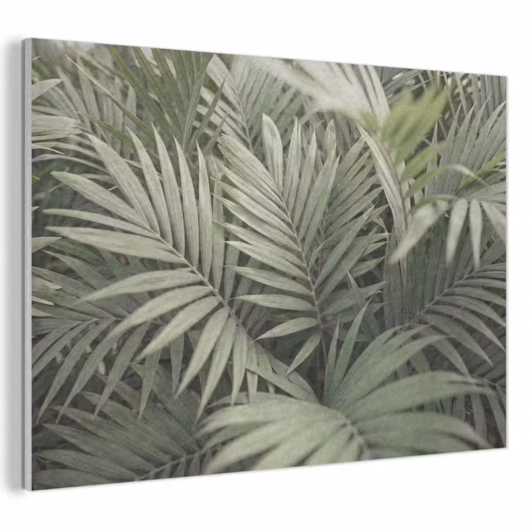 Plant - Palmbladeren - Natuur - Groen PET vilt klein -3d